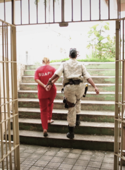 Filmposter von Lírios Não Nascem da Lei