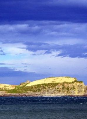 Filmposter von Izaro