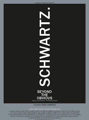 Filmposter von Beyond the Obvious: Daniel Schwartz. Photographer