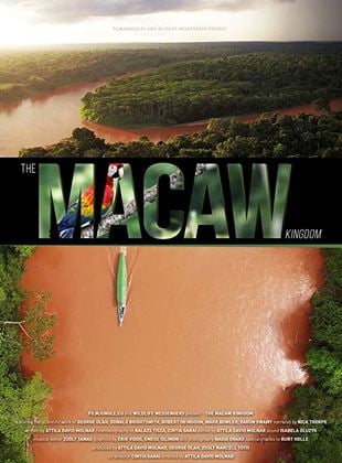  The Macaw Kingdom