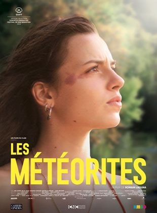 Die Meteoriten