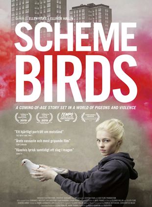 Scheme Birds