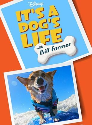Ein Hundeleben mit Bill Farmer