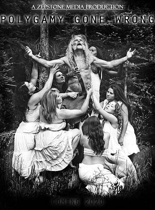Filmposter von Polygamy Gone Wrong
