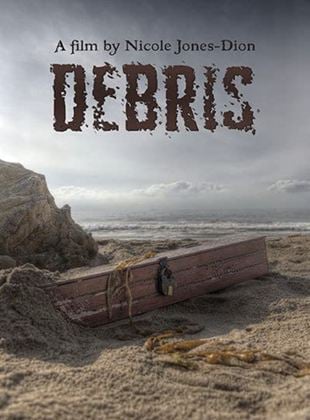 Debris