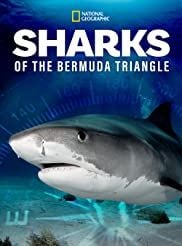 Sharks of the Bermuda Triangle