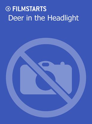  Deer in the Headlight