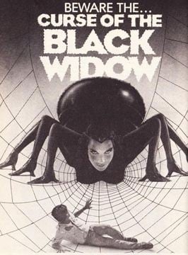 Der Fluch der schwarzen Witwe