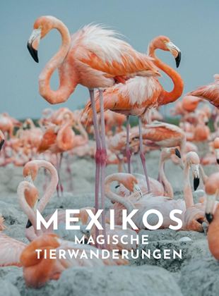 Mexikos magische Tierwanderungen