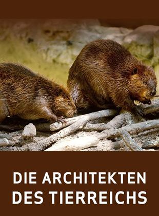 Die Architekten des Tierreichs