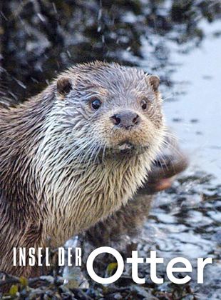 Insel der Otter