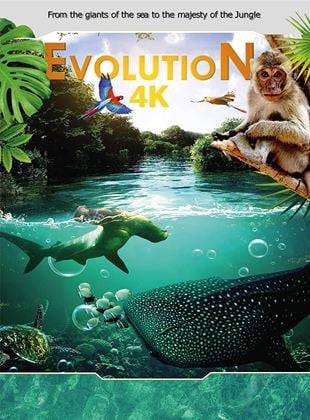 Evolution 4K