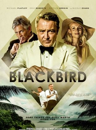  Blackbird