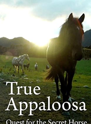 True Appaloosa