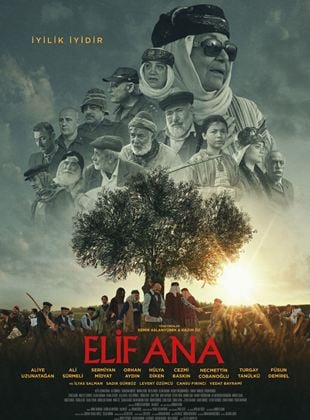  Elif Ana