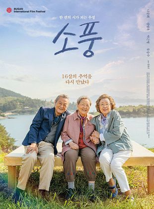 Filmposter von Picnic