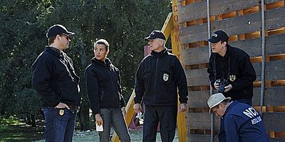 Poster der Serie Zurück zu den Wurzeln