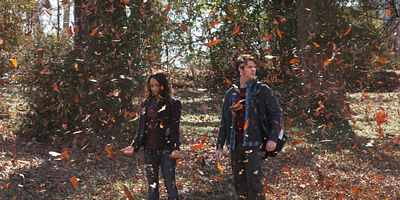 Poster der Serie Geliebte Feindin