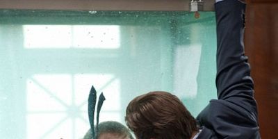 Poster der Serie Strange Brew