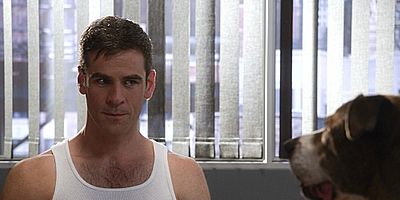 Poster der Serie Misconceptions