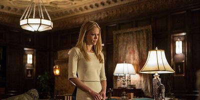 Poster der Serie One Angry Fuchsbau