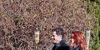 Poster der Serie Brotherhood