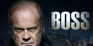 Poster der Serie Swallow