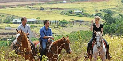 Poster der Serie Ua Lawe Wale