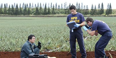 Poster der Serie Ha 'alele'