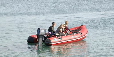 Poster der Serie Metamorphosis