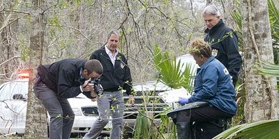 Poster der Serie New Orleans (1)