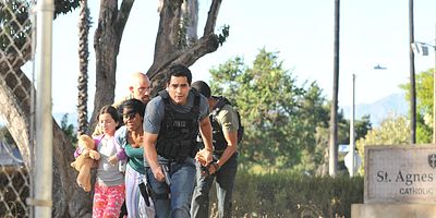 Poster der Serie Perros