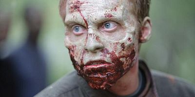 Poster der Serie Puppies and Kittens