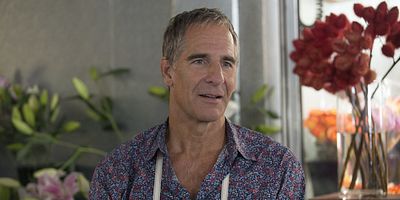 Poster der Serie Looking for $220/Hour