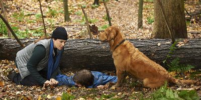 Poster der Serie Narrow Margin