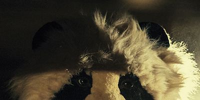 Poster der Serie Auf den Knien