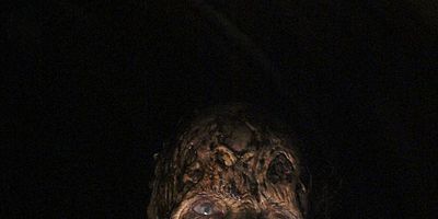 Poster der Serie Now