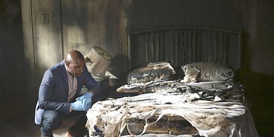 Poster der Serie Necrosis and New Beginnings