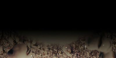 Poster der Serie Nok Aaut