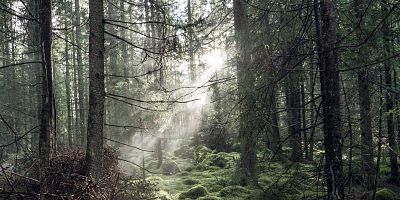 Poster der Serie Del IX