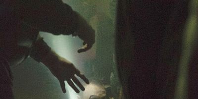 Poster der Serie Chapter Six : Star of the Morning