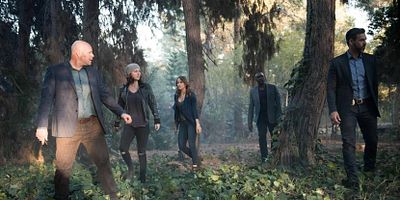 Poster der Serie Puffer Fish & Personal History