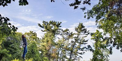 Poster der Serie Liminal Twilight