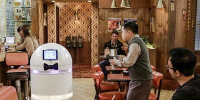 Poster der Serie And the Turtle Sense