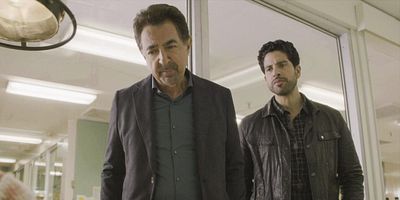 Poster der Serie Alpha Male