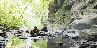 Poster der Serie Lead Horse Back To Stable