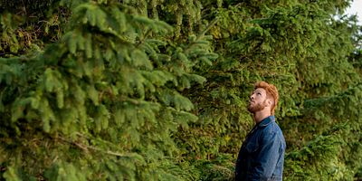 Poster der Serie Ein Gebet für Mad Sweeney