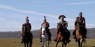 Poster der Serie Eine Eule im Dornbusch