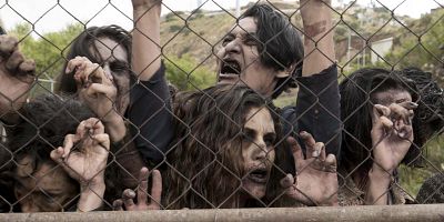 Poster der Serie Die Schlange