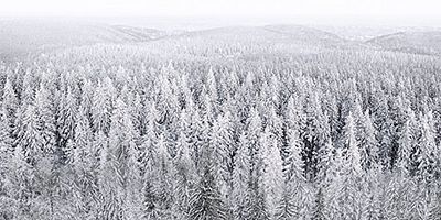 Poster der Serie Kellari